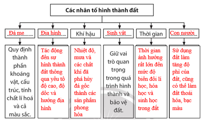 Sách bài tập Địa lí 10 Bài 14: Đất - Chân trời sáng tạo (ảnh 1)