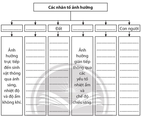 Sách bài tập Địa lí 10 Bài 15: Sinh quyển, các nhân tố ảnh hưởng đến sự phát triển và phân bổ của sinh vật - Chân trời sáng tạo (ảnh 1)