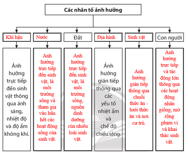 Sách bài tập Địa lí 10 Bài 15: Sinh quyển, các nhân tố ảnh hưởng đến sự phát triển và phân bổ của sinh vật - Chân trời sáng tạo (ảnh 1)