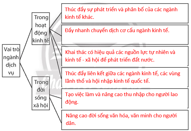 Sách bài tập Địa lí 10 Bài 33: Cơ cấu, vai trò, đặc điểm và các nhân tố ảnh hưởng đến sự phát triển, phân bố dịch vụ - Chân trời sáng tạo (ảnh 1)