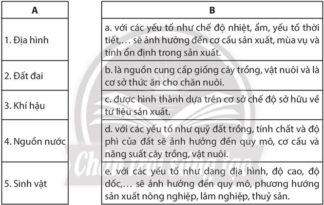 Sách bài tập Địa lí 10 Bài 25: Vai trò, đặc điểm, các nhân tố ảnh hưởng tới sự phát triển và phân bố nông nghiệp, lâm nghiệp, thủy sản - Chân trời sáng tạo (ảnh 1)