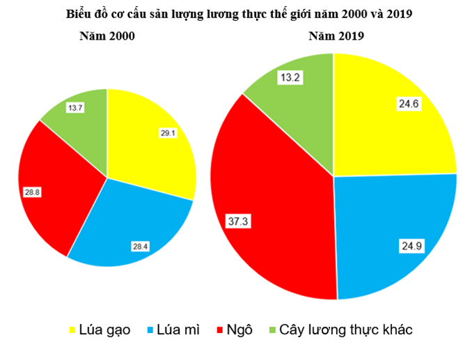 Sách bài tập Địa lí 10 Bài 27: Thực hành: Vẽ và nhận xét biểu đồ về sản lượng lương thực của thế giới - Kết nối tri thức (ảnh 1)