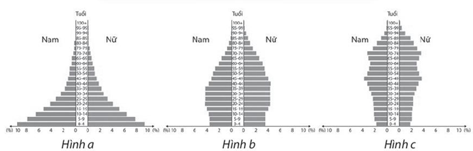 Sách bài tập Địa lí 10 Bài 20: Cơ cấu dân số - Chân trời sáng tạo (ảnh 1)