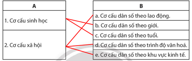 Sách bài tập Địa lí 10 Bài 20: Cơ cấu dân số - Chân trời sáng tạo (ảnh 1)