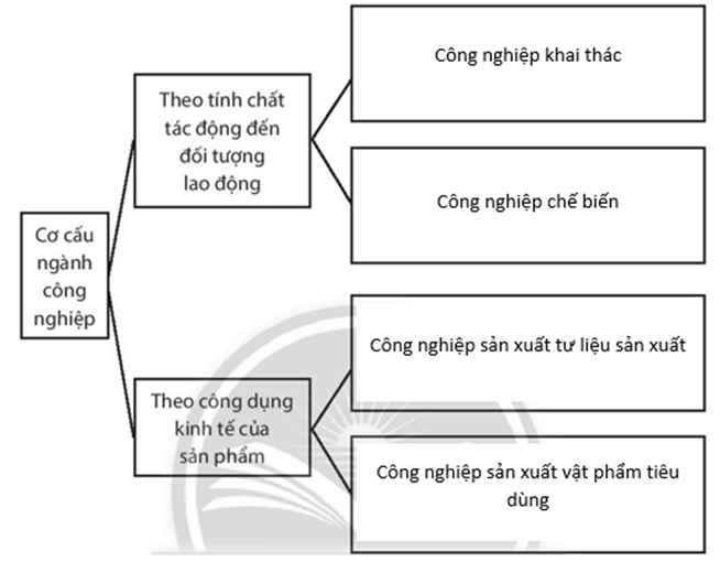 Sách bài tập Địa lí 10 Bài 29: Cơ cấu, vai trò và đặc điểm công nghiệp, các nhân tố ảnh hưởng tới sự phát triển và phân bố công nghiệp - Chân trời sáng tạo (ảnh 1)