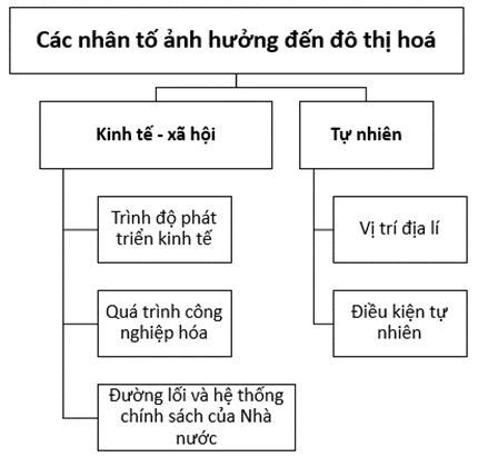 Sách bài tập Địa lí 10 Bài 21: Phân bố dân cư và đô thị hóa - Chân trời sáng tạo (ảnh 1)