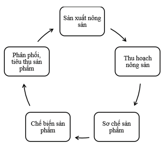 SBT Kinh tế Pháp luật 10 Bài 1 (Cánh diều): Các hoạt động kinh tế cơ bản trong đời sống xã hội  (ảnh 1)