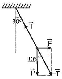 Sách bài tập Vật lí 10 Bài 13 (Kết nối tri thức): Tổng hợp và phân tích lực cân bằng lực (ảnh 1)