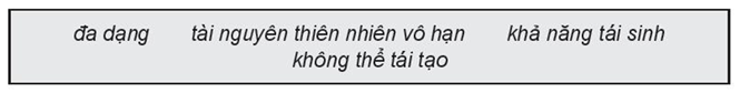 Sách bài tập Địa lí 10 Bài 39: Môi trường và tài nguyên thiên nhiên - Kết nối tri thức (ảnh 1)