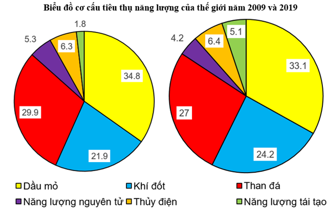 Sách bài tập Địa lí 10 Bài 40: Phát triển bền vững và tăng trưởng xanh - Kết nối tri thức (ảnh 1)