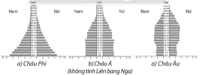 Sách bài tập Địa lí 10 Bài 22: Thực hành: Phân tích tháp dân số, vẽ biểu đồ cơ cấu dân số theo nhóm tuổi - Chân trời sáng tạo (ảnh 1)