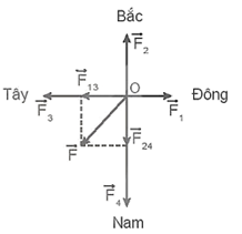 Sách bài tập Vật lí 10 Bài 13 (Kết nối tri thức): Tổng hợp và phân tích lực cân bằng lực (ảnh 1)