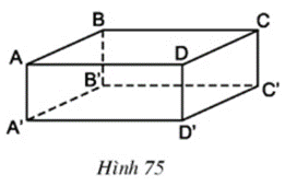 Hãy kể tên các mặt của hình hộp (ảnh 1)