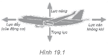 Sách bài tập Vật lí 10 Bài 19 (Kết nối tri thức): Lực cản và lực nâng (ảnh 1)