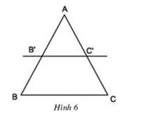 Chứng minh rằng AB'/B'B = AC'/C'C (ảnh 1)