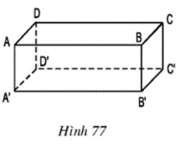 AB có song song với A’B’ hay không (ảnh 1)