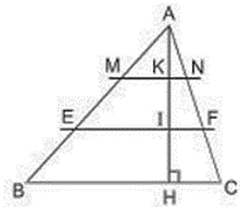 Tính độ dài các đoạn thẳng MN và EF (ảnh 1)