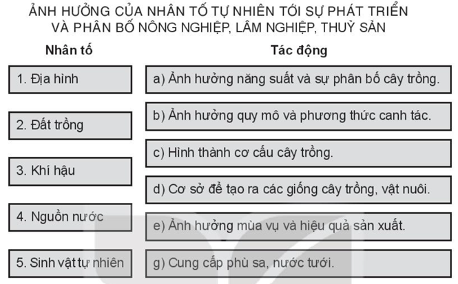 Sách bài tập Địa lí 10 Bài 23: Vai trò, đặc điểm, các nhân tố ảnh hưởng tới phát triển và phân bố nông nghiệp, lâm nghiệp, thủy sản - Kết nối tri thức (ảnh 1)