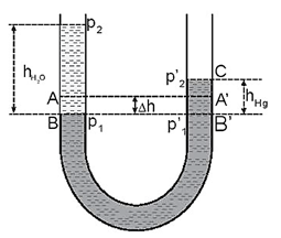 Sách bài tập Vật lí 10 Bài 34 (Kết nối tri thức): Khối lượng riêng. Áp suất chất lỏng (ảnh 1)