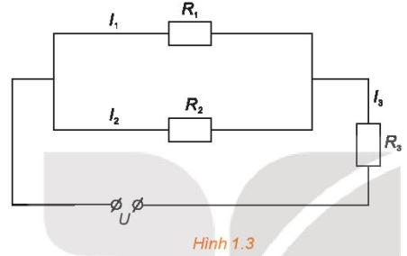 Bài 1.24 trang 24 Chuyên đề Toán 10