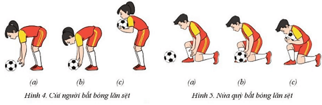 Vận dụng kĩ thuật tại chỗ ném biến và bắt bóng lăn sệt vào các trò