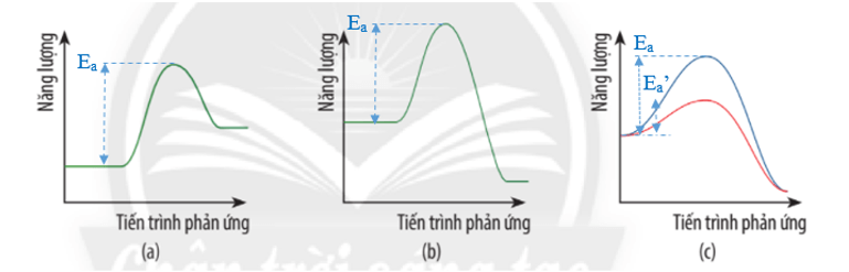 Cho giản đồ năng lượng của các phản ứng