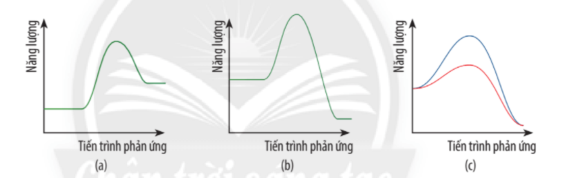 Cho giản đồ năng lượng của các phản ứng