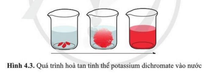 Thả một vài tinh thể patassium dichromate K2Cr2O7 màu cam đỏ vào nước (Hình 4.3)