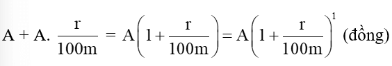 Bài 11 trang 30 Chuyên đề Toán 10 (ảnh 1)