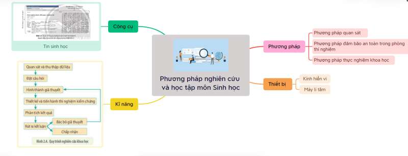 Lý thuyết Sinh học 10 Bài 2 (Chân trời sáng tạo): Các phương pháp nghiên cứu và học tập môn Sinh học (ảnh 7)