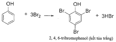 Trong phân tử phenol có sự ảnh hưởng qua lại giữa nhóm -OH và gốc –C6H5  gốc –C6H5 