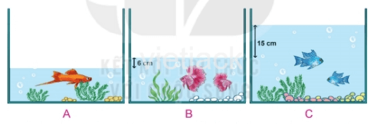 Toán lớp 2 - tập 1 - Bài 21