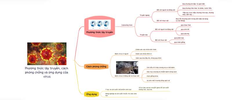 Lý thuyết Sinh học 10 Bài 22 (Cánh diều): Phương thức lây truyền, cách phòng chống và ứng dụng của virus (ảnh 9)