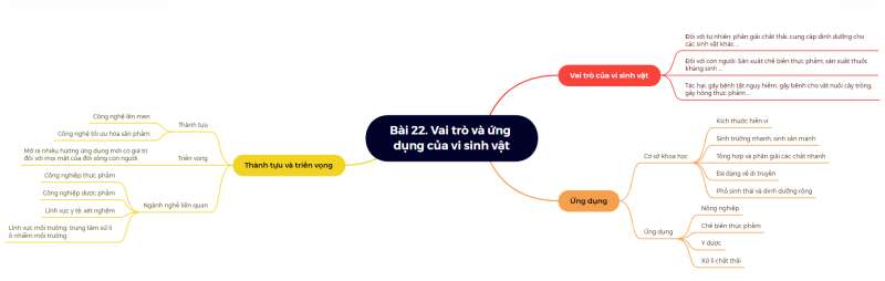 Lý thuyết Sinh học 10 Bài 22 (Kết nối tri thức): Vai trò và ứng dụng của vi sinh vật (ảnh 15)