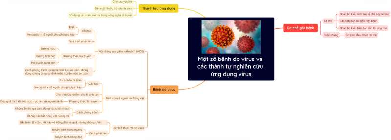 Lý thuyết Sinh học 10 Bài 25 (Kết nối tri thức): Một số bệnh do virus và các thành tựu nghiên cứu ứng dụng virus (ảnh 21)