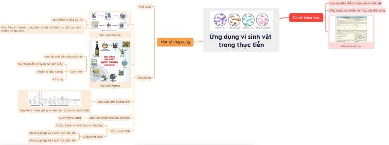 Lý thuyết Sinh học 10 Bài 27 (Chân trời sáng tạo): Ứng dụng vi sinh vật trong thực tiễn (ảnh 7)