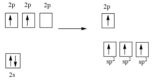 Trình bày sự tạo thành liên kết hóa học trong các phân tử C2H2,C2H4, NH3