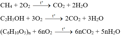 Viết phương trình hóa học khi đốt cháy hoàn toàn một số nhiên liệu sau