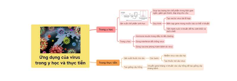 Lý thuyết Sinh học 10 Bài 30 (Chân trời sáng tạo): Ứng dụng của virus trong y học và thực tiễn (ảnh 6)