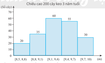 Bài 4 trang 135 Toán 11 Tập 1 Chân trời sáng tạo | Giải Toán 11