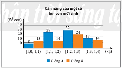 Bài 4 trang 141 Toán 11 Tập 1 Chân trời sáng tạo | Giải Toán 11