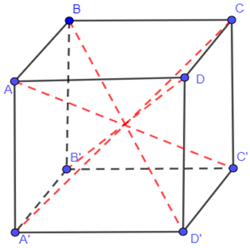 Quan sát hình lập phương ABCD.A'B'C'D', cho biết: AB = 5 cm