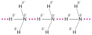 Ở trạng thái lỏng nguyên chất  phân tử chất nào sau đây tạo được liên kết hydrogen với nhau?