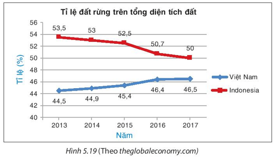 Bài 5.12 trang 104 Toán 8 Tập 1 | Kết nối tri thức Giải Toán 8