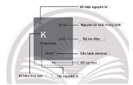 Cho biết ý nghĩa của các thông tin có trong ô nguyên tố 