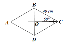 Bài 5 trang 115 Toán 8 Tập 1 Cánh diều | Giải Toán 8