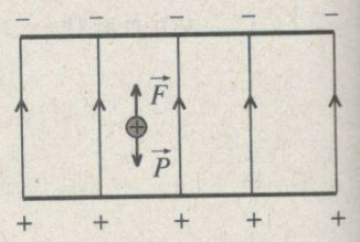 SBT Vật lí 11 Bài 5: Điện thế. Hiệu điện thế | Giải SBT Vật lí lớp 11 (ảnh 4)