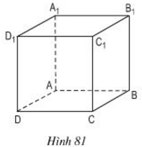 Giải Câu 6 Bài 2: Hình hộp chữ nhật (tiếp) - sgk Toán 8 tập 2 Trang 100