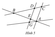 Quan sát Hình 5. Hãy nêu (ảnh 1)