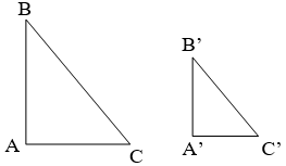 Giáo án Toán 8 Bài 8: Các trường hợp đồng dạng của tam giác vuông mới nhất